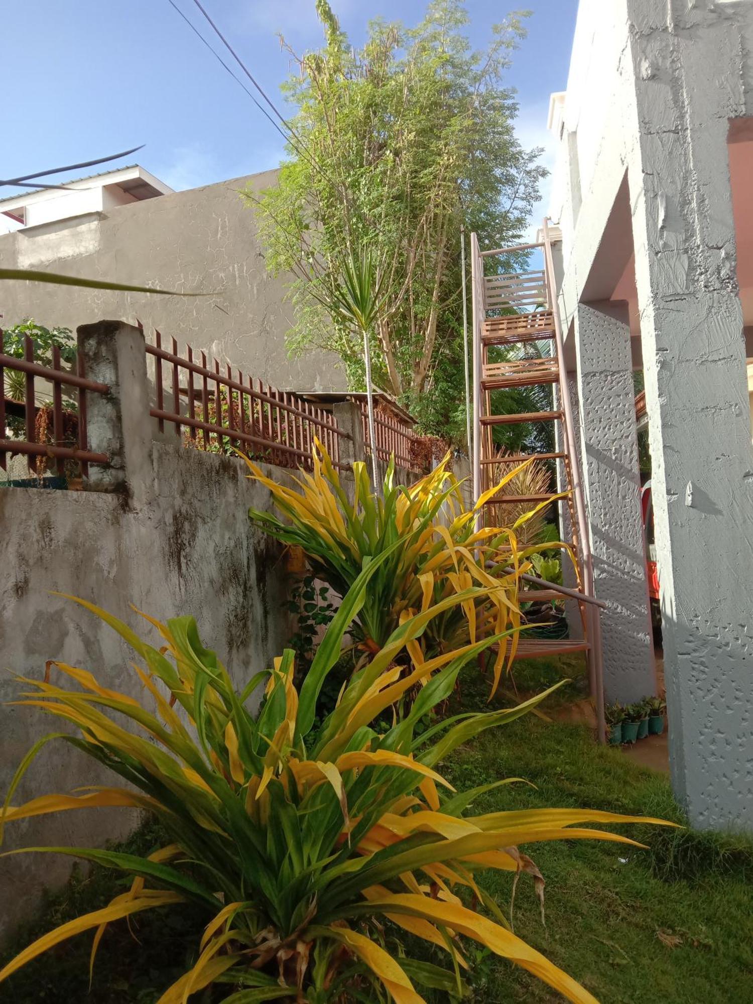 Friz Love Room Rental Сан Хуан Екстериор снимка
